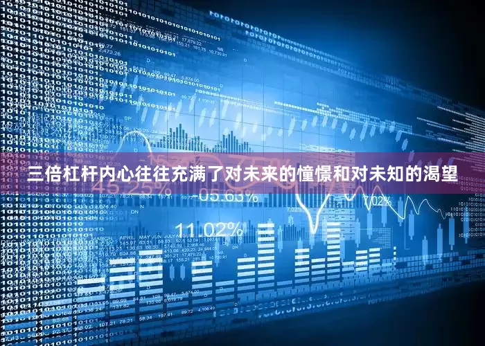 三倍杠杆内心往往充满了对未来的憧憬和对未知的渴望