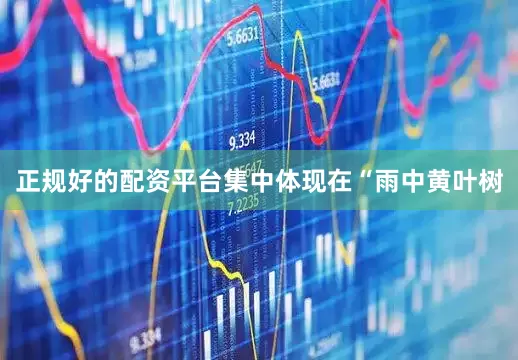 正规好的配资平台集中体现在“雨中黄叶树