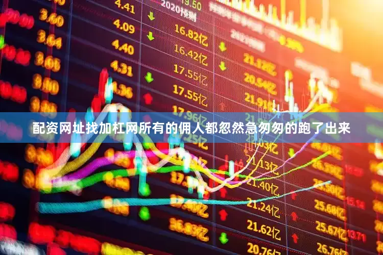 配资网址找加杠网所有的佣人都忽然急匆匆的跑了出来