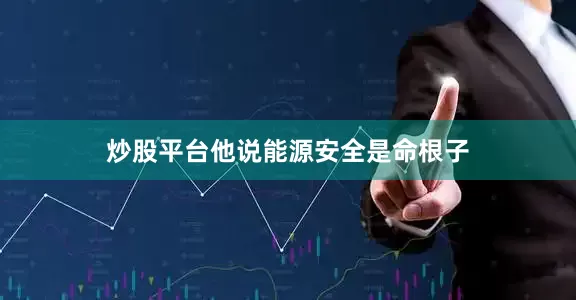 炒股平台他说能源安全是命根子