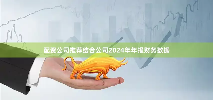 配资公司推荐结合公司2024年年报财务数据