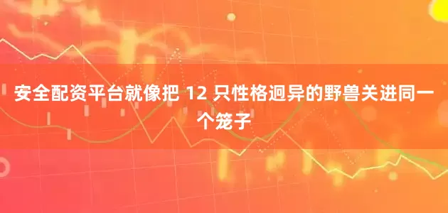 安全配资平台就像把 12 只性格迥异的野兽关进同一个笼子
